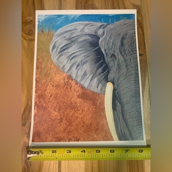 Elephant print, 8x11 on semigloss paper. - Picture 3 of 3